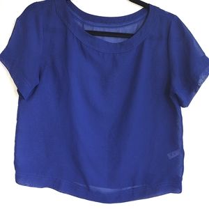Chiffon Royal Blue Sheer Mid Size Small